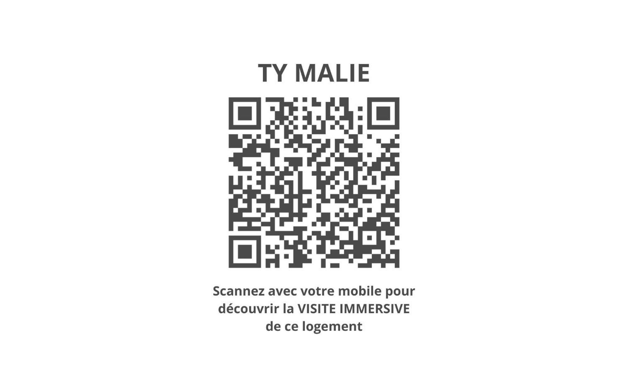 Ty Malie - Magnifique Loft En Coeur De Ville Avec Parking Vannes Buitenkant foto